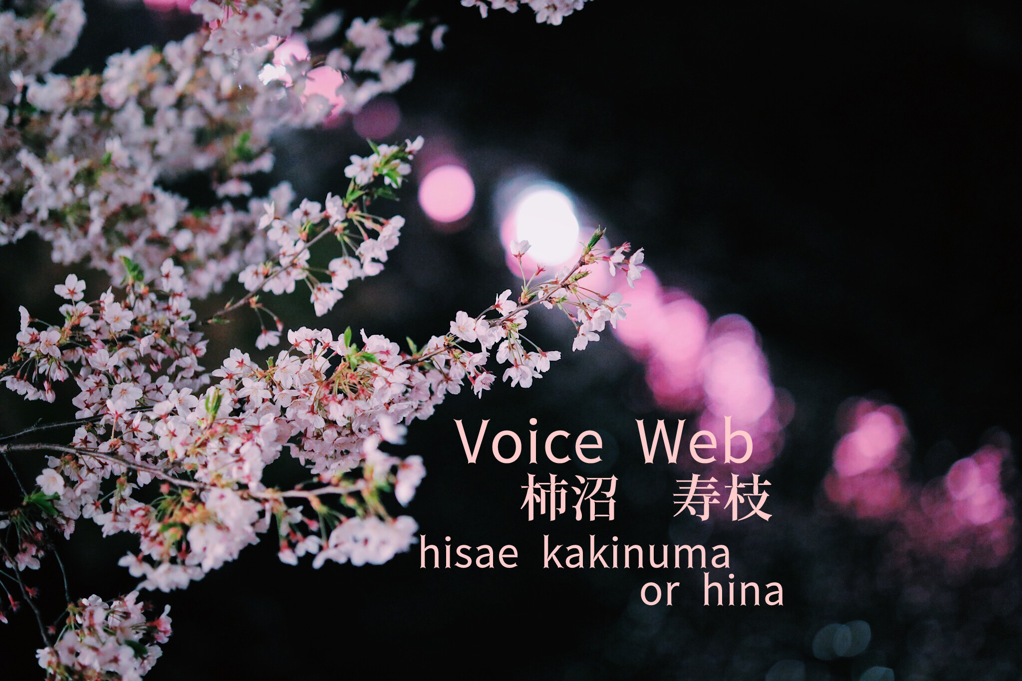 voice web Top画像spring